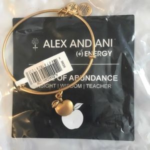 Alex and Ani Gold Apple Bracelet